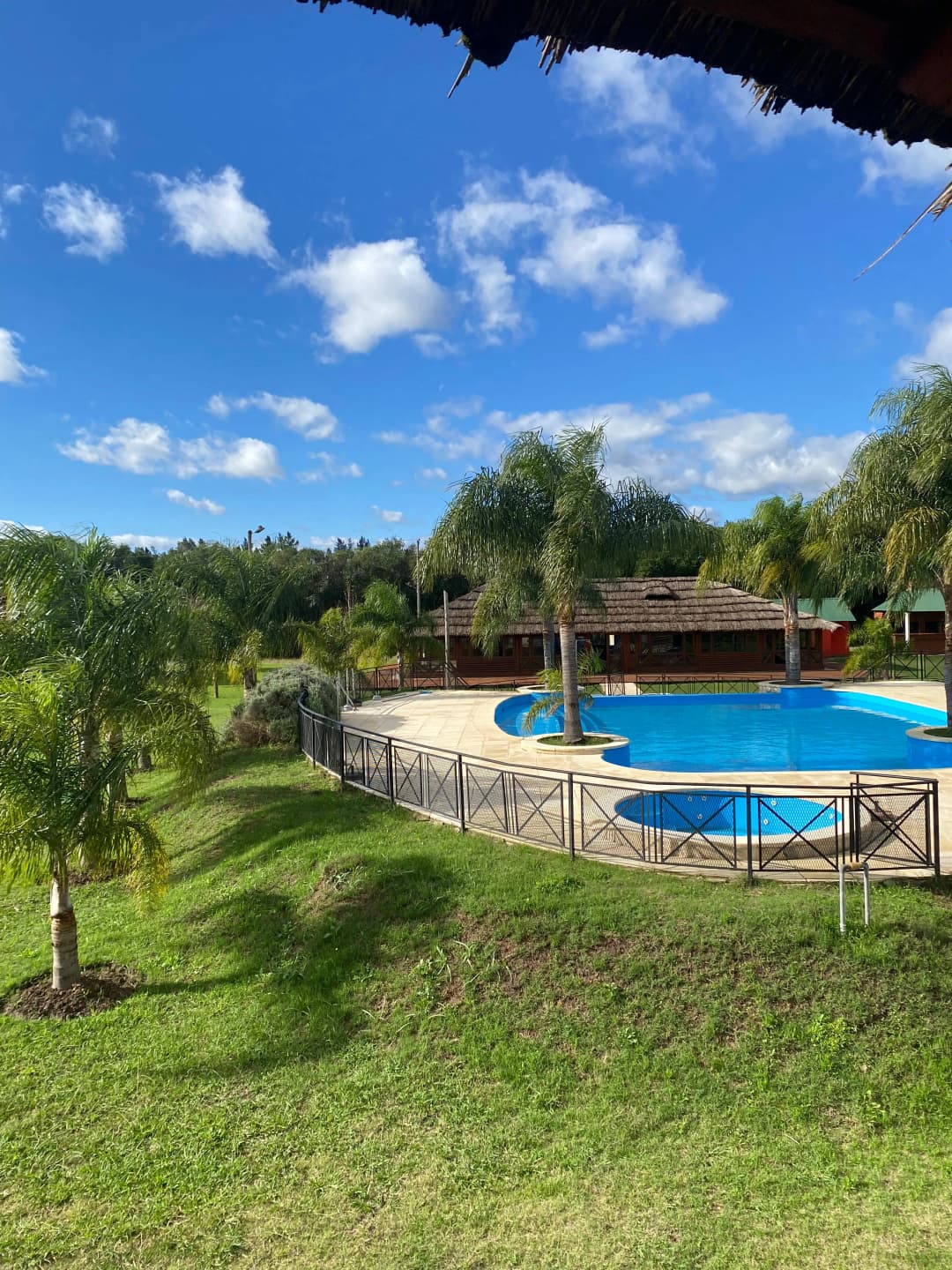 imagen de la actividad especial